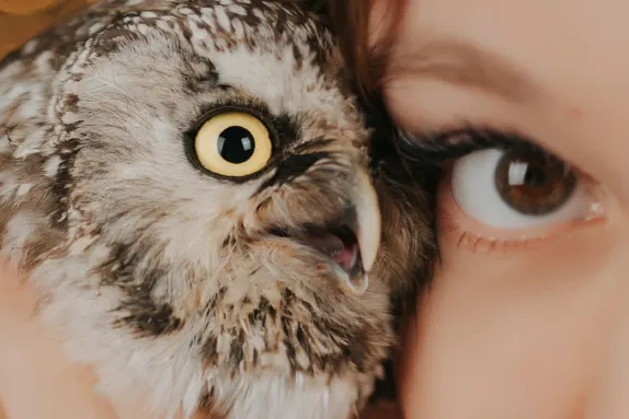 كازينو إم آر فورتشن الدعم